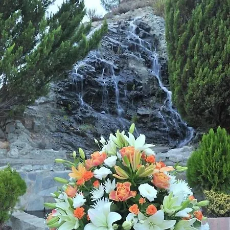 Vengera Locanda Galata